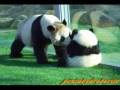 Panda Mei Mei and twin 梅梅と愛浜、明浜