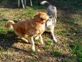 Keona and Reno