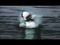 Planet Earth as Narrated By Two Frat Bros.