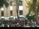 Manifestazione no gelmini collettivo zenit Senigallia Manifestazione no gelmini collettivo zenit Senigallia