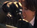 mission 17 reasons - tlw s4e12