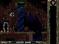 this is the dos version, the version i played as a kid