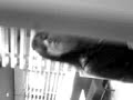 Tylerr && Gerr iin Thaa Menss Toiletss