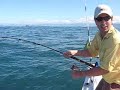Jigging olhetão em Floripa - Yellow tail Jigging olhetão em Floripa - Yellow tail