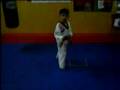 videos de 6 years old Reza Rahmani,Jr. preforming poomsae dance....