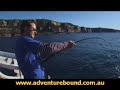 Adventure Bound - Jervis Bay Kingfish Part 1