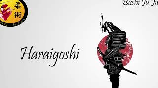 Tecnica del mese - haraigoshi