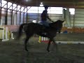 Melissa rides bucking and rearing tootsie Melissa rides bucking and rearing tootsie
