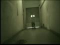 DaGaN follow your mind - trailer 2009 DaGaN15/03/93 from trieste triesteam crew WATCH IN HD YOUTUBE RUIN THE QUALITY OF THE VIDEO