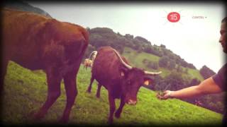 Chanson du Cantal