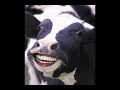 Youtube Poop: She-Goe's Voluptuous Cooking Program