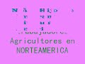 Mundo Injusto Niños Explotados en Norte America.wmv
