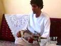 Herat Afghanistan Rebab 2