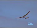 Avión RC Avión RC