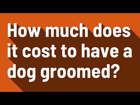 How much does it cost to have a dog groomed?