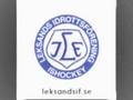 Leksands IF Liranrnas Lag