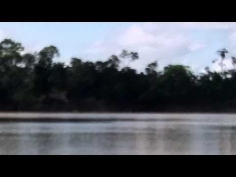 Amazon Dolphin Encounter. Pink Dolphins Swim Close. Life Changing Moment for Dustin