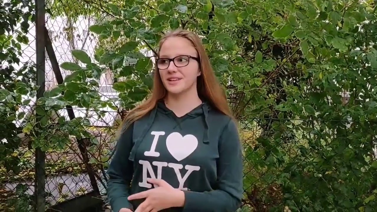 START Niederosterreich  Was bedeutet START fur mich