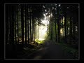 Swallow the Sun- yhtyeen näkemys Timo Rautiaisen & Trio Niskalaukauksen kappaleesta 