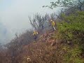 incendio forestal