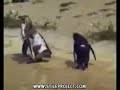 penquin on drugs