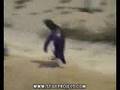 penquin on drugs