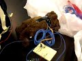 Traumabear