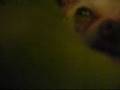 Audio Declare independence. (my babys trying to sleep)
