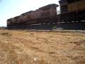 UP SD90MAC #8159 leads a N/B powermove through Pixley,CA