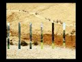 Panoramic view of kibbutz Ein-Gedi - A wonderful world