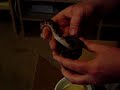 Eclipse Phase Brazilian Rainbow Boa Arrives