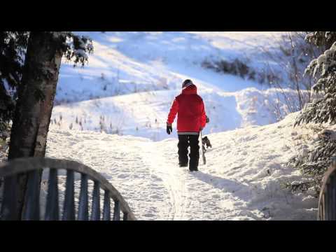 videos non unofficial videos home page news ski blog 0