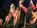 Grupo de Cordas Allegro - Raika