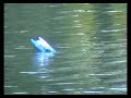 21072007 Mini Katamaran rc-boat