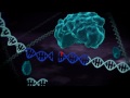 3 new videos about genome engineering : http://youtu.be/WbbaSA_G9xQ http://youtu.be/v6TJk2C6Oic http://youtu.be/Ofe2LwAQm5s