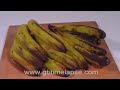 Rotting bananas Rotting bananas