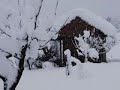 100 cm snowfall in Turjak, Slovenia 3.24.2008