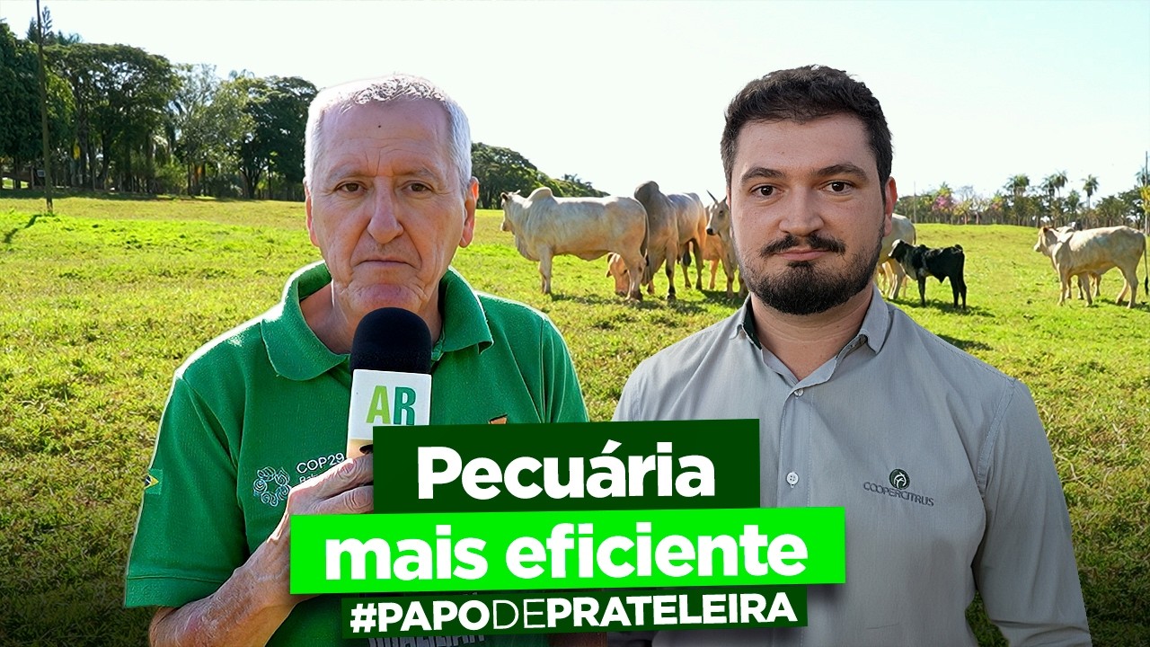 Suplementação Mineral | Especial AR #58