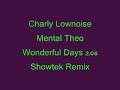 charly lownoise   mental theo   wonderful days 2 08  showtek