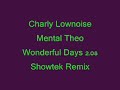charly lownoise   mental theo   wonderful days 2 08  showtek