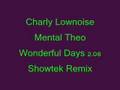 Charly Lownoise & Mental Theo - Wonderful Days 2.08 (Showtek