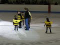 Bees - on ice!