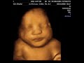 3D Imaging Services