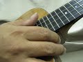 2007 Gypsy Rose KEPASA Ukulele  musicguymic sound sample