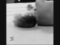 Bring Back Carlito Part 2 