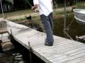 videos de Rottweiler takes a dip in the lake