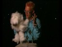 Chien ventriloque