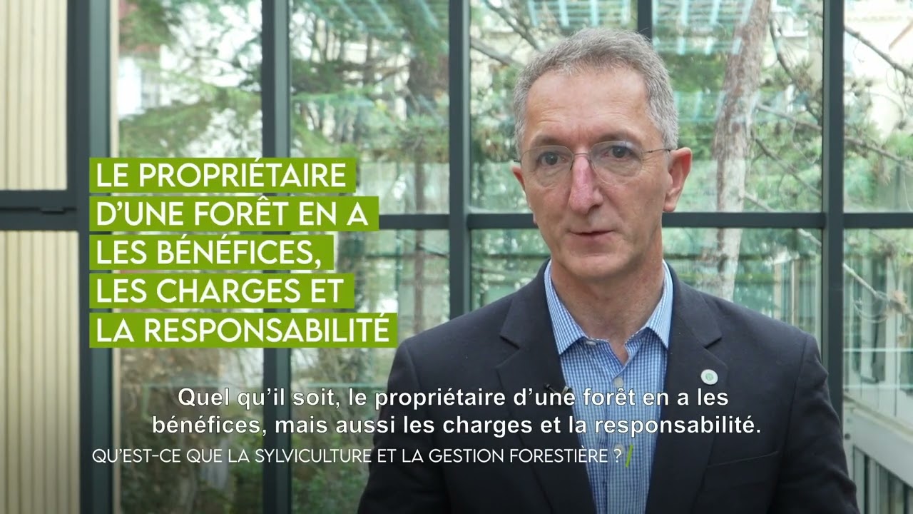 🌳 1/6 Qu’est-ce que la sylviculture et la gestion forestière ? #MinuteInfo