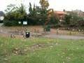 videos de Village Pond