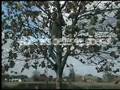 videos de Freeloaded Promo0